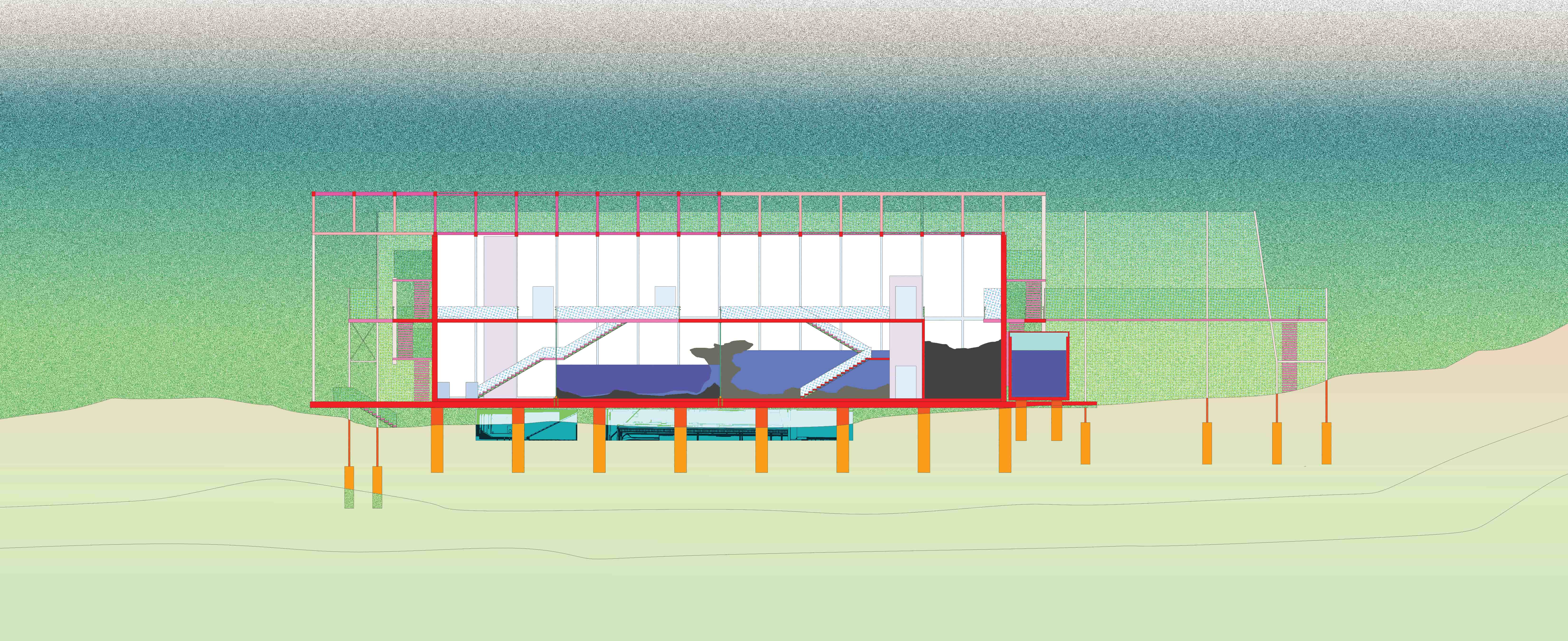 Eiderwild project image